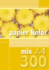 Papier ksero A4 80g 300ark. mix 5 kolorów